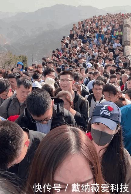 火了!上海再现“拉链式过马路”