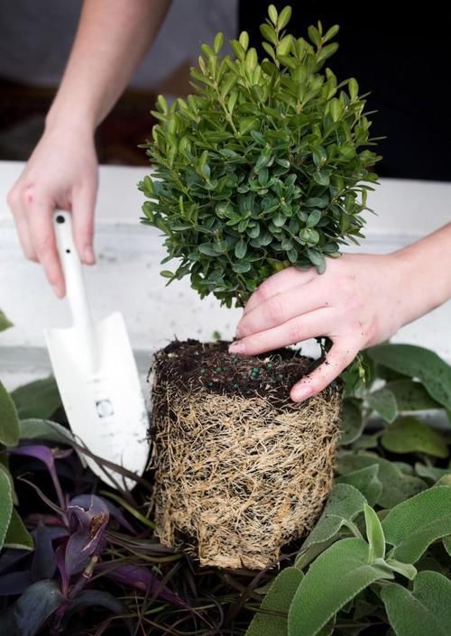  「木材」窗边花架坏了老爸不让买，直接用边角材料DIY花架！比买来的还好看精致