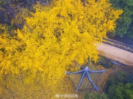 “今日小雪” ，你期盼的那场雪何时到来？