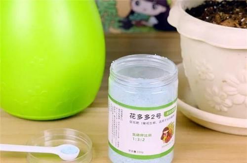  #图片作者#长寿开花不过瘾，学会1招，花苞多的能盖叶！