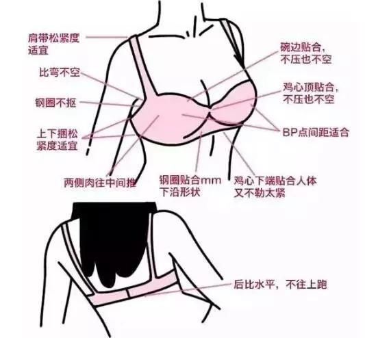 几十块和几百块的内衣，原来差距都在这里，涨知识了