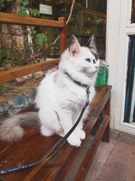 择一城终老，必是张家界与凤凰