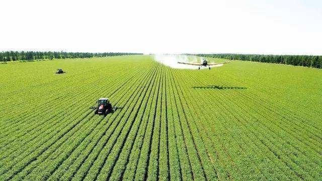  「自然地理」现在农村干什么收入最高？现在农村干什么收入最高