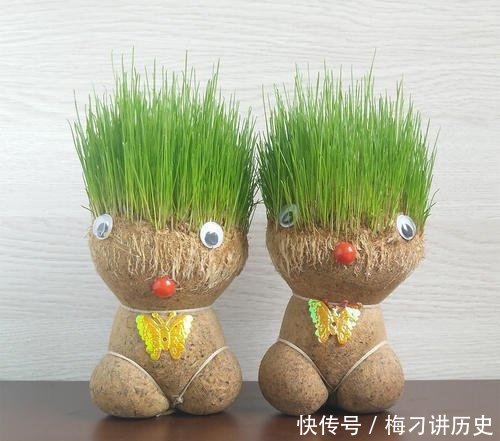  『轻松』铜钱草生长不佳注意这几点，轻松养满盆！