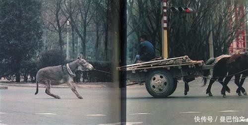  70年代■老照片上世纪70年代的北京