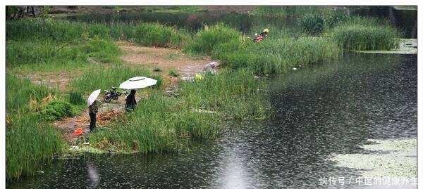 会导致水@都说雨天好钓鱼,可是选不准钓深,一样没渔获!