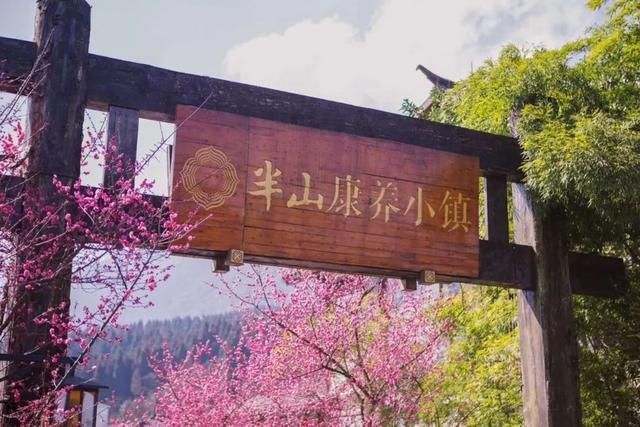  樱花@美惨了！这是洪雅的春天