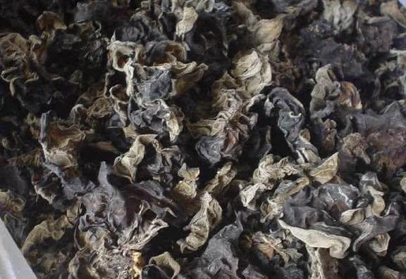 它们是慢性胃炎的“救星”，修复胃黏膜，远离幽门螺旋杆菌