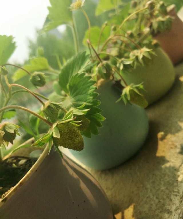  赏花：春暖花开，你赏花了么？