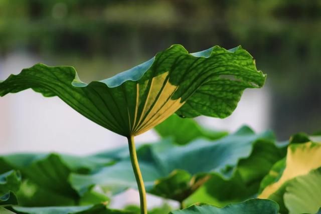 富人与穷人的本质区别在哪里？财富智慧听出来