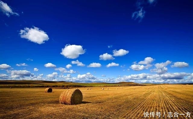 九月,最美的秋天在哪里?这些地方的金秋光景已经按捺不住了!