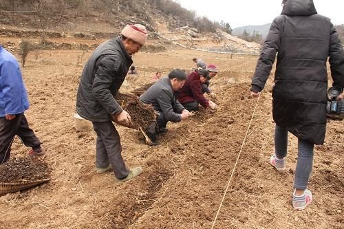 2019年起，国家“五大行动”助力乡村振兴，农民朋友有福了