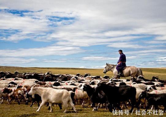 网传“肉松”造假属谣言，带你真正了解肉松