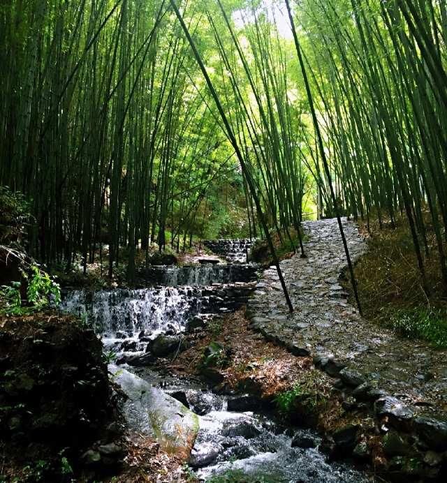 贵州最美的3个小众的旅游景点，一个是竹海，一个是乌蒙大草原