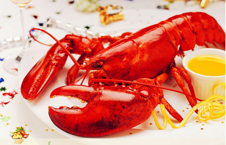 波士顿大龙虾:多少钱一斤?为什么比澳洲龙虾价