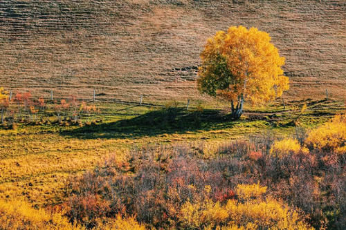 「大有前途」安徽最“奋发图强”的城市，不是合肥也不是淮北，