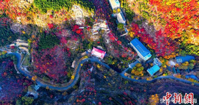 冬游齐鲁·好客山东惠民季在济南启动 邀民众畅游“诗与远方”