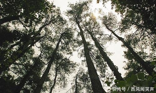 湖北最富的三个县城，你知道是哪三个吗？