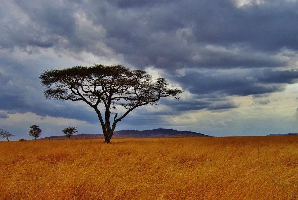 中国护照免签/落地签最新大全又添5个新目的地!热气球和粉色沙滩