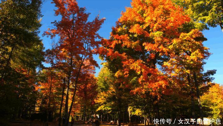 这个国家公民集体抗议中国游客? 知道真正原因后, 网友: 说的在理