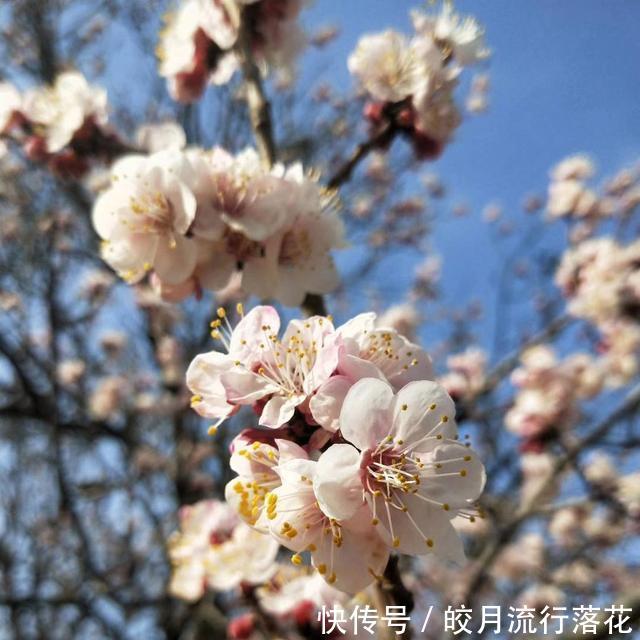  『植物』感觉公园里的植物就是不一样