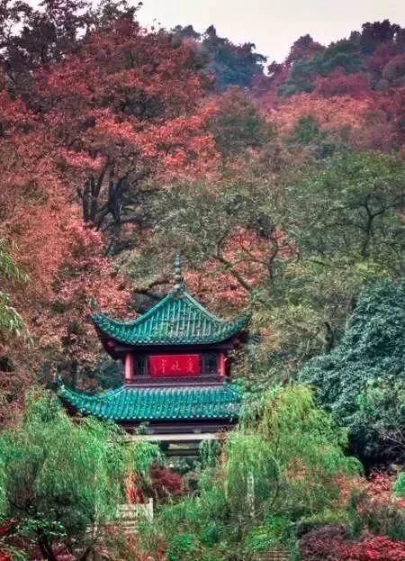 如果一生只去一次湖南,那走这条路线就够了,霸占湖南大半的美