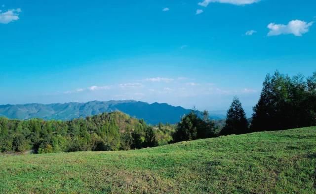  「超级多」让你的照片美貌营业，百万博主们都离不开它！