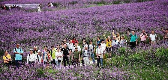 国内最神奇海岛？面积逐年递增，未来50年内将与大陆相连