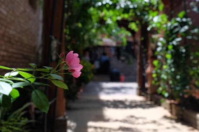 许我一段柔软时光，在普者黑唱首《凉凉》