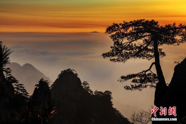 当云海遇上日出光晕 安徽黄山风景美如画境