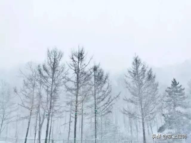 昨天洛阳雪后，一大波美景曝光