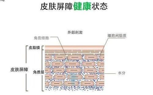  [天天敷面膜]这些4大护肤谣言，千万不要信，小心皮肤越来越差！