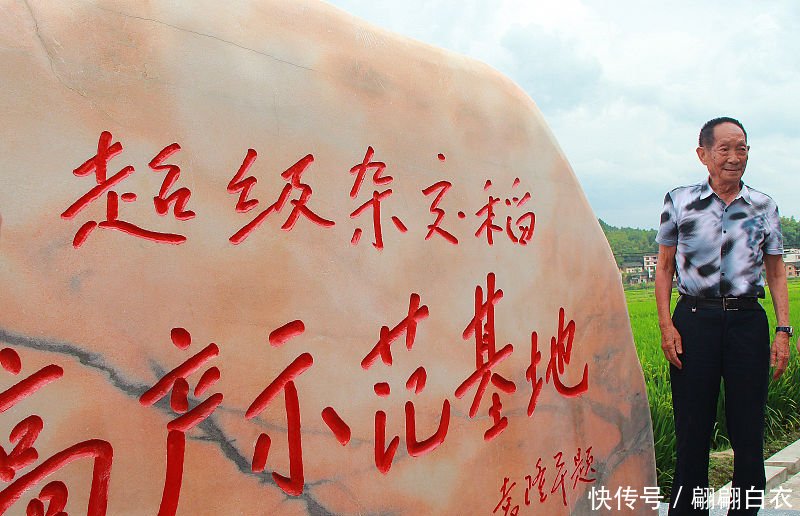  「补贴」袁隆平建议将石油补贴转给农民，粮食收购价提到2元，你