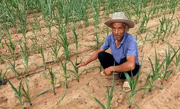  「农民朋友」年底之前，村干部“严防死守”，杜绝3种行为出现，