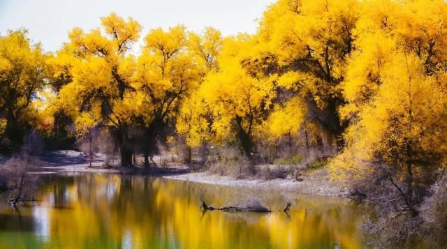 专属于十月的旅行目的地 你知道几个?