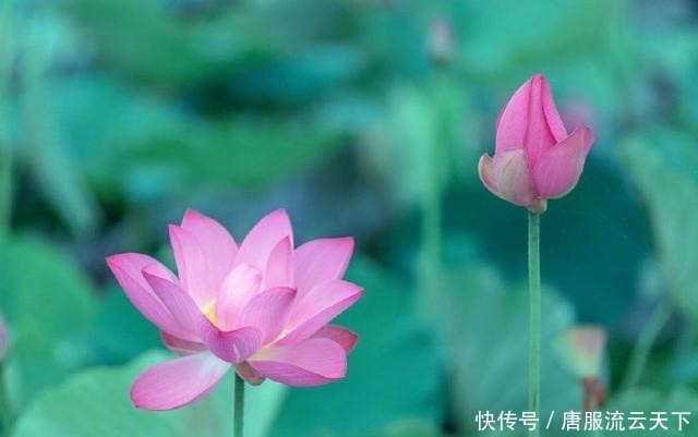  [好处]对俗人来说，修佛的最大好处是什么？｜佛典读解