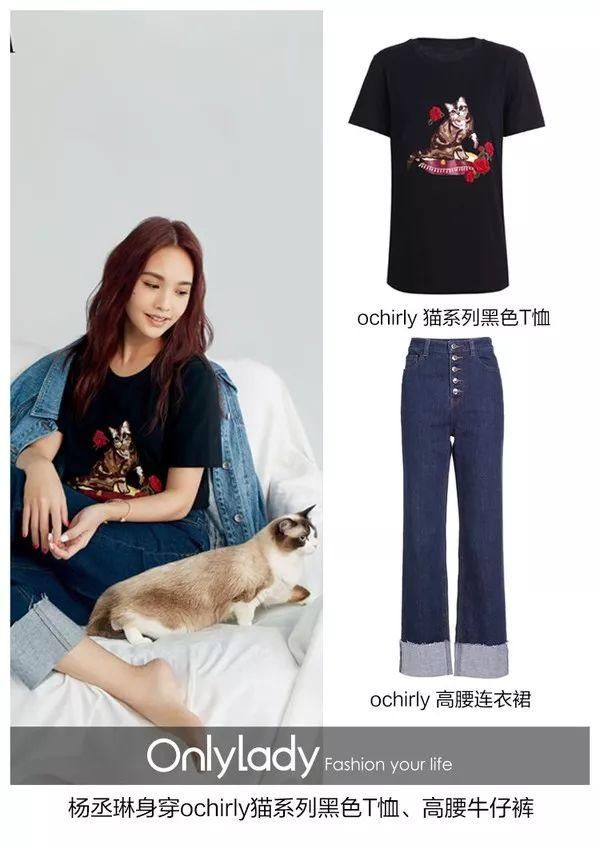 什么?听说现在合格的猫奴都直接把猫主子穿在身上了!