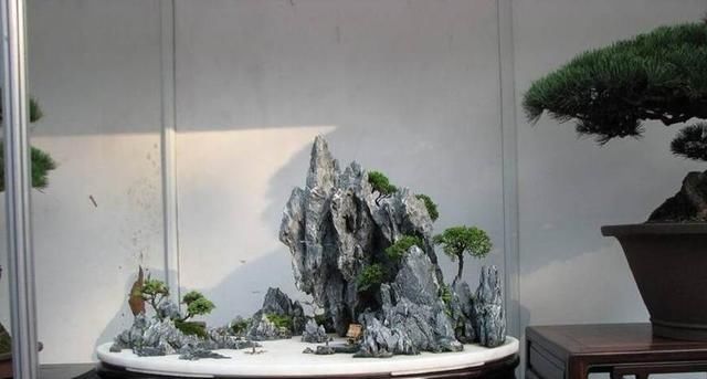  小东西：小东西大作用！山水盆景里的石材你会用吗？