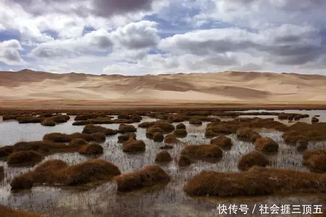 新疆最极致的景观诱惑,天山深处最后一片净土,居然是它