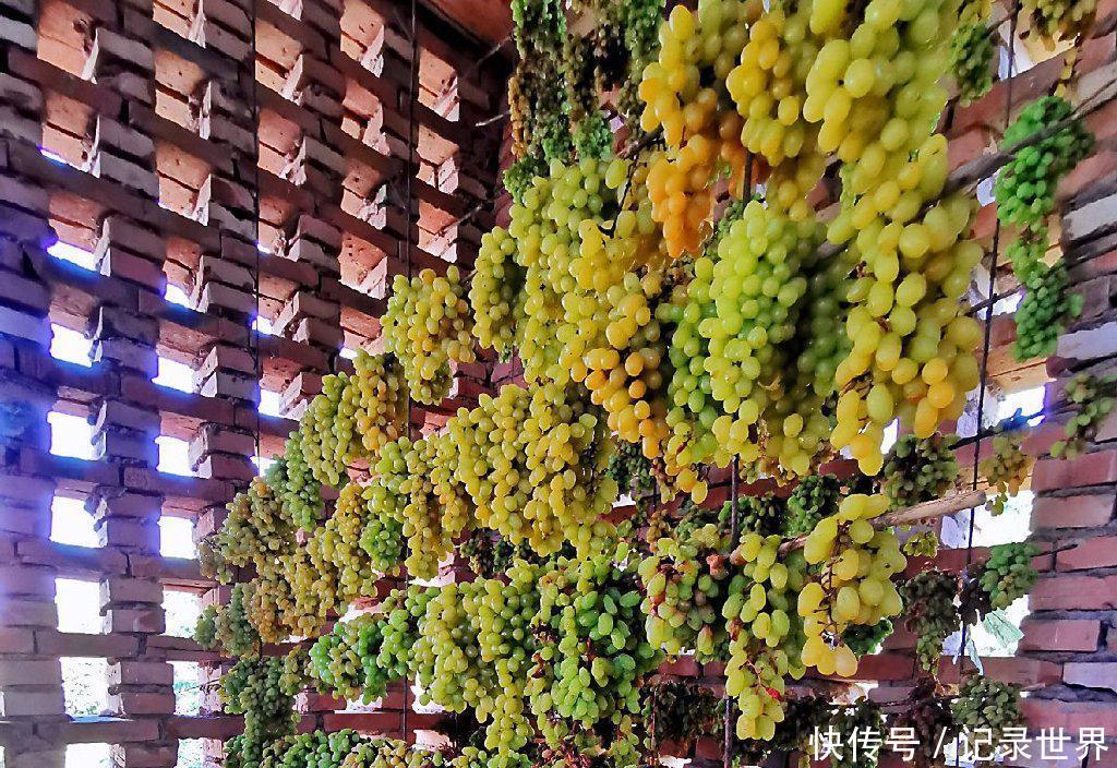  [吐鲁番]葡萄之乡在吐鲁番吗？哈密瓜之乡在哈密吗？错，在新疆