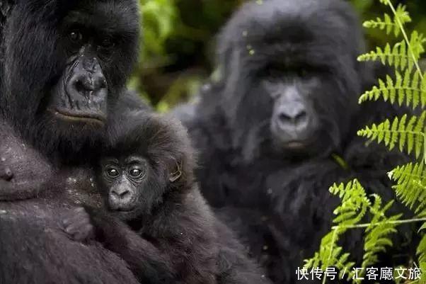 旅行达人推荐：人一生中最值得去的30个地方，你去过几个？