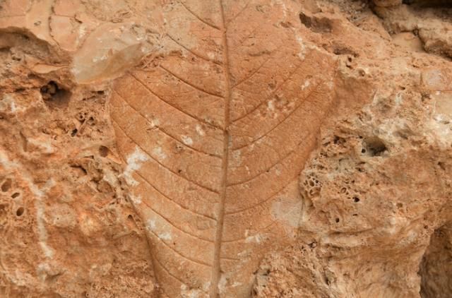 国内“最奢侈”村庄，用化石建房子，现成旅游景点吸引众多游客!