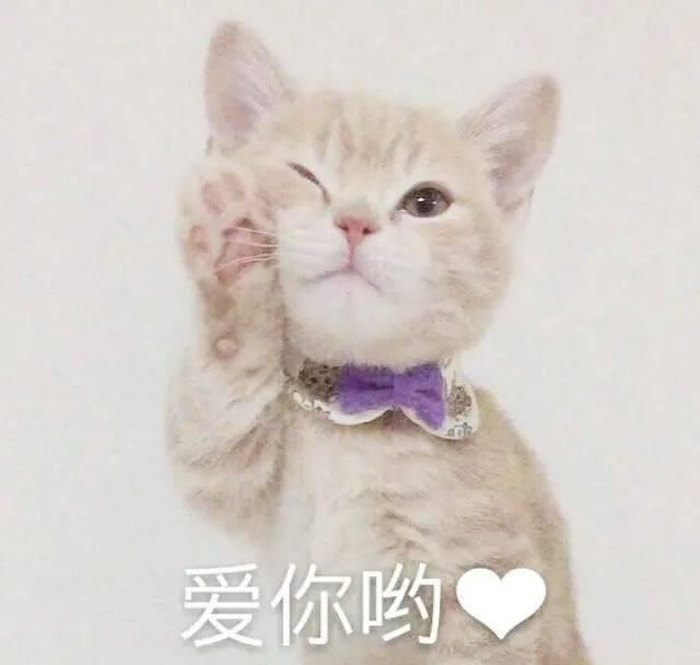  『竟然』早春流行鞋履大公开！这次没被种草竟然还省钱了？