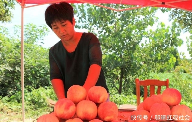  果实@农民种植一种果树，果实秋季成熟，20棵收入30000元！