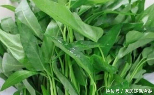 #盆栽#阳台别再只养花了,“4种菜”当盆栽,每天得菜钱都省了