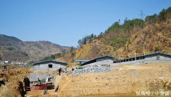 明年起, 农村“乱搭乱建”现象将被严查, 专家: 谁建的谁拆!