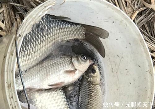  「信号」夏季野钓浮漂没信号，为什么抬竿总能锚到鱼这三点原因你要知道