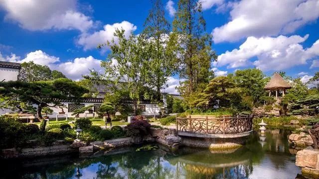 国内最大的专类盆景园,江南园林海派风格美不胜收