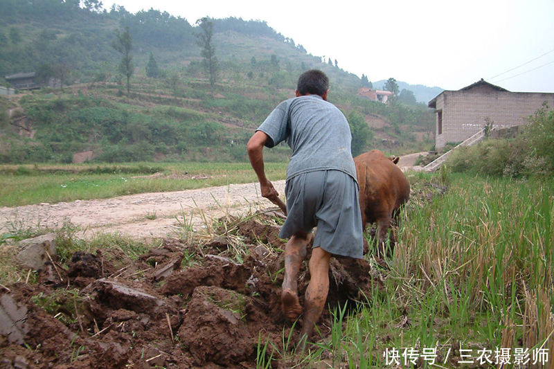 农村土地丢荒，以下四大原因，说明为何农民不愿意种地