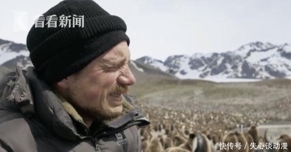 太热了!看着这样的南极 BBC摄像师心痛到落泪